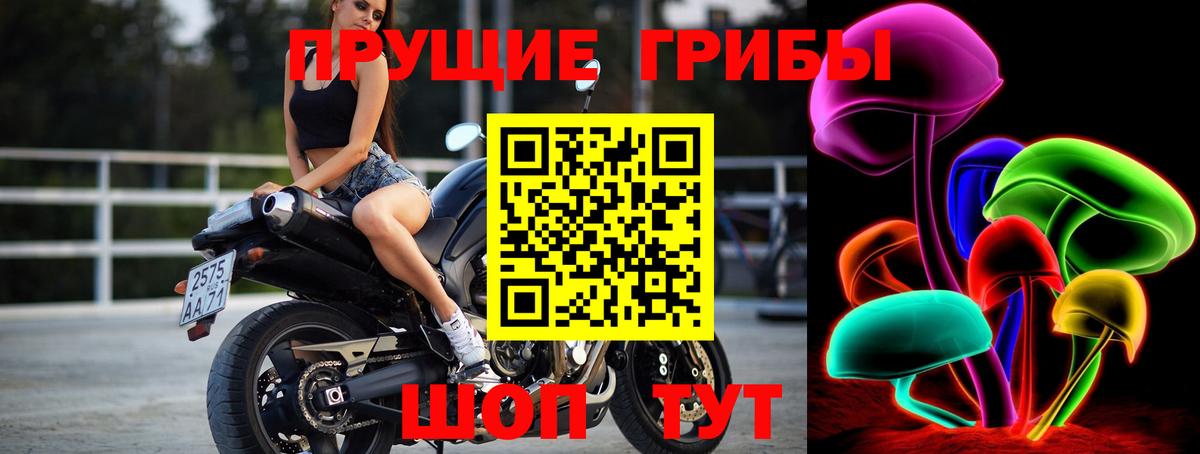 Псилоцибиновые грибы мухоморы  Вход с VPN  Псилоцибиновые грибы Psilocybine cubensis  Елец 